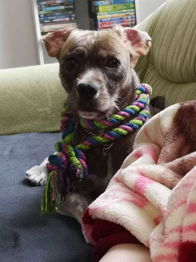 Foto Challenge die Vierte-Beitrag-Bild