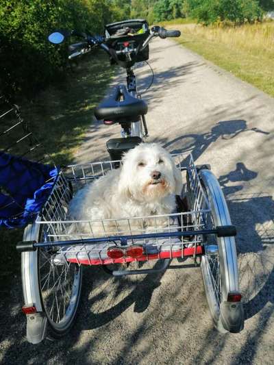 CHALLENGE NR. 18 - ON TOUR-Beitrag-Bild