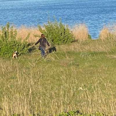aktuelles Foto Gruppe Wandern und Outdoor