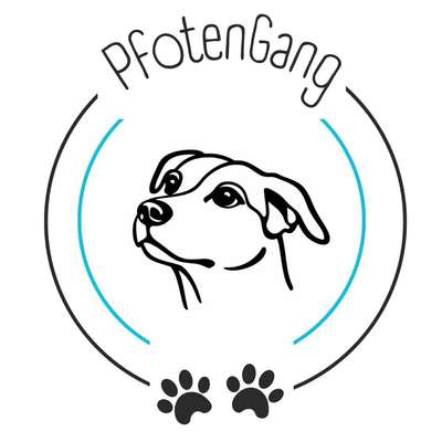 Hundeschule PfotenGang Hundetraining in Rheine  – Dogorama