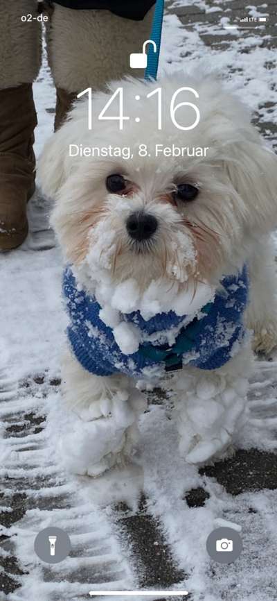 Dogorama Photo Challenge - Es wird nochmal kalt!-Beitrag-Bild