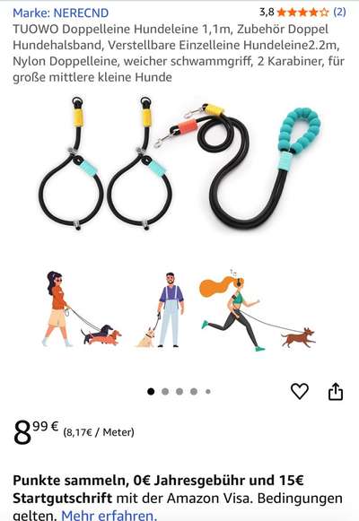 Zwei Hunde Leine-Beitrag-Bild