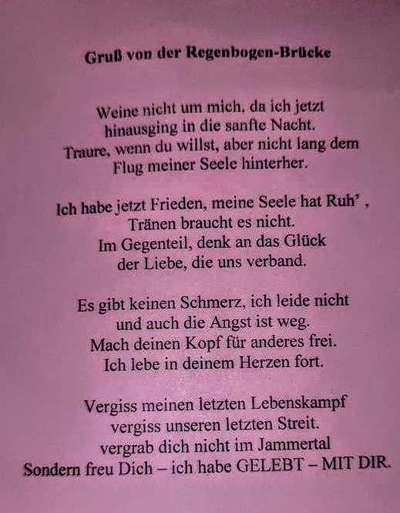 Regenbogenbrücke-Beitrag-Bild