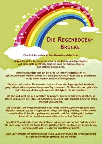 Regenbogenbrücke-Beitrag-Bild