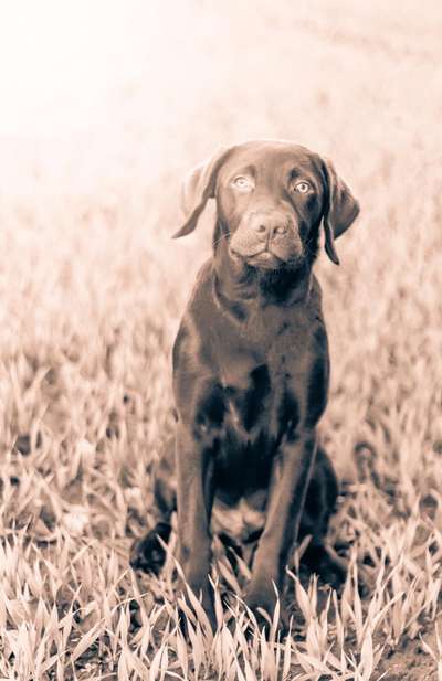 Challenge Nr. 10: "Das schönste Lächeln"-Beitrag-Bild