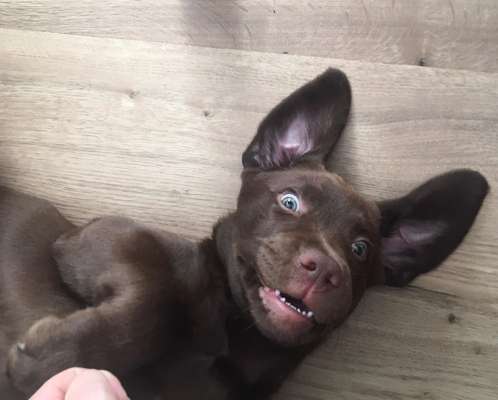 Challenge Nr. 10: "Das schönste Lächeln"-Beitrag-Bild