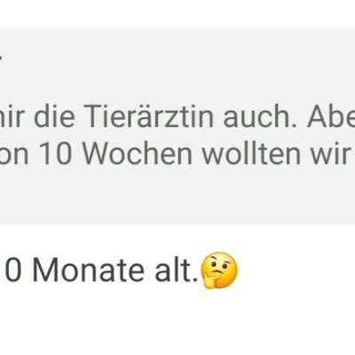 Analdrüsen-Beitrag-Bild