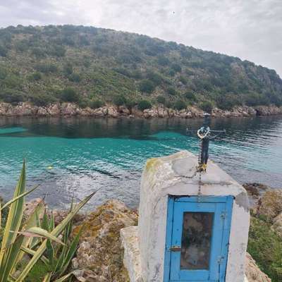 Sardinien mit Hund: Karibik-Traum oder Urlaubs-Enttäuschung? 🌊🐾-Beitrag-Bild