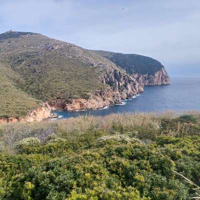 Sardinien mit Hund: Karibik-Traum oder Urlaubs-Enttäuschung? 🌊🐾-Beitrag-Bild