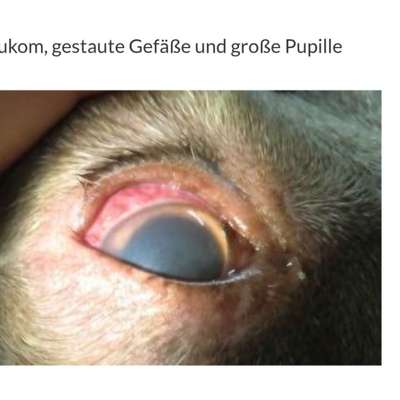 Gereiztes Auge-Beitrag-Bild