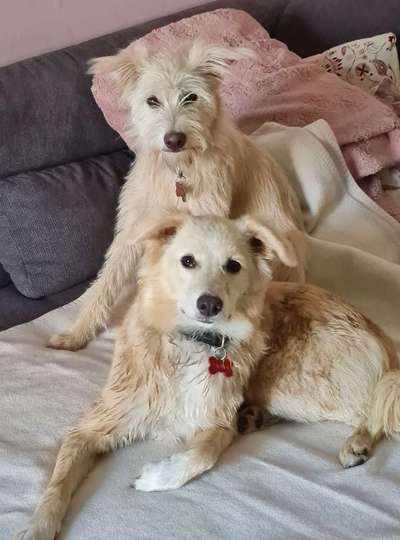 Lieblingsbild :D-Beitrag-Bild