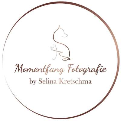 Tierfotografen-Momentfang Fotografie-Bild