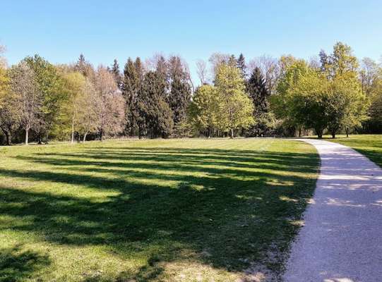 Hundeauslaufgebiet-Heilhamer Park-Bild