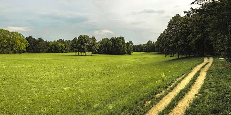 Hundeauslaufgebiet-Wasserwald-Bild