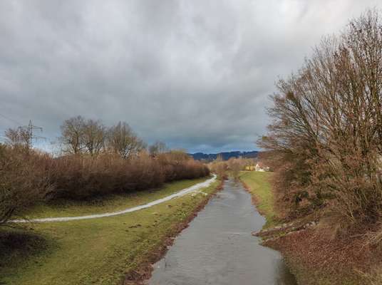 Hundeauslaufgebiet-Linzer Donauufer HFLZ-Bild