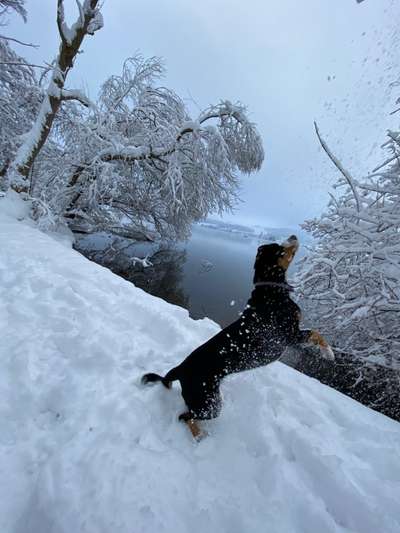 Handy-Foto-Challange Nr.9-Beitrag-Bild