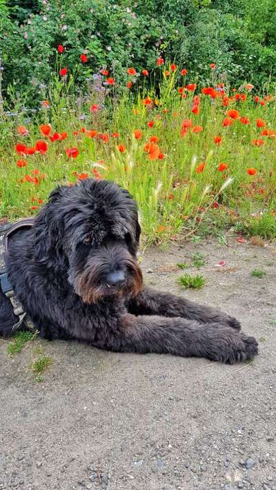 Fotochallenge No. 26                                     Wald und Wiese-Beitrag-Bild