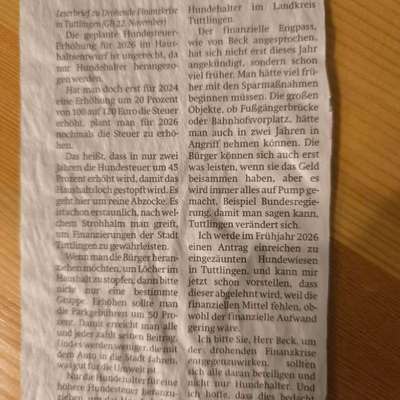 🐶💸 Hundesteuer steigt vielerorts – ist das gerechtfertigt?!-Beitrag-Bild