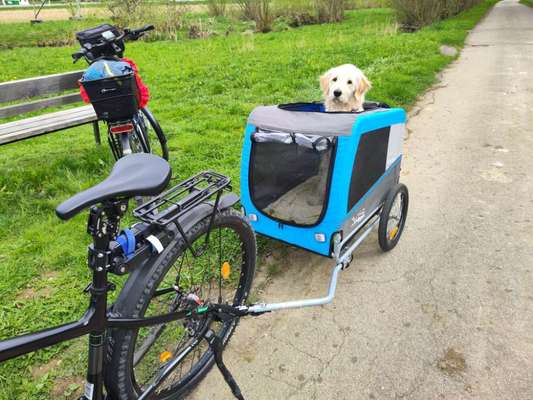 Hund an das fahren im Hundeanhänger gewöhnen-Beitrag-Bild