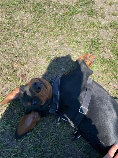 Lieblingsbild :D-Beitrag-Bild