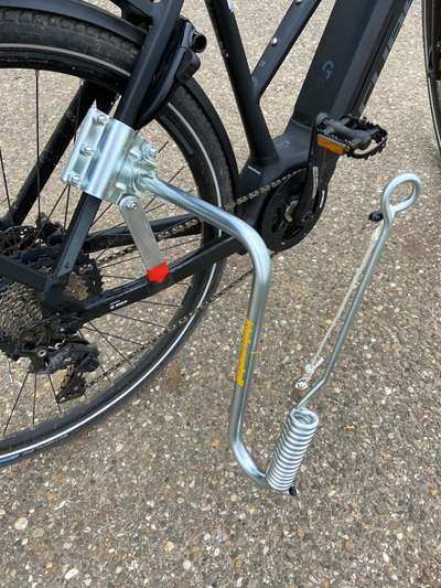 Radfahren mit Hund-Beitrag-Bild