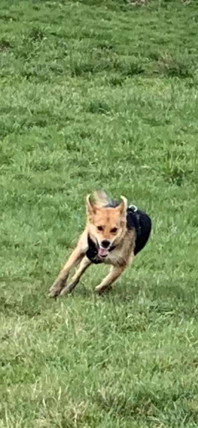 Hier ist der Spaßthread. Zum Schmunzeln und Kaputtlachen-Beitrag-Bild