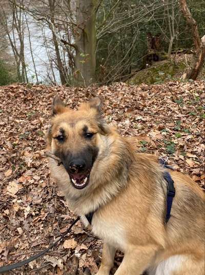 Hier ist der Spaßthread. Zum Schmunzeln und Kaputtlachen-Beitrag-Bild