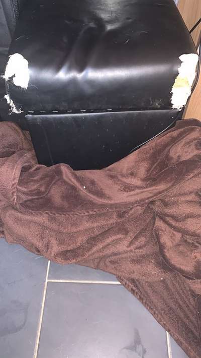 Geschreddert!-Beitrag-Bild