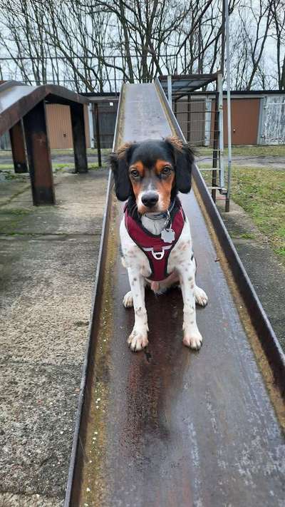 Lieblingsbild-Beitrag-Bild