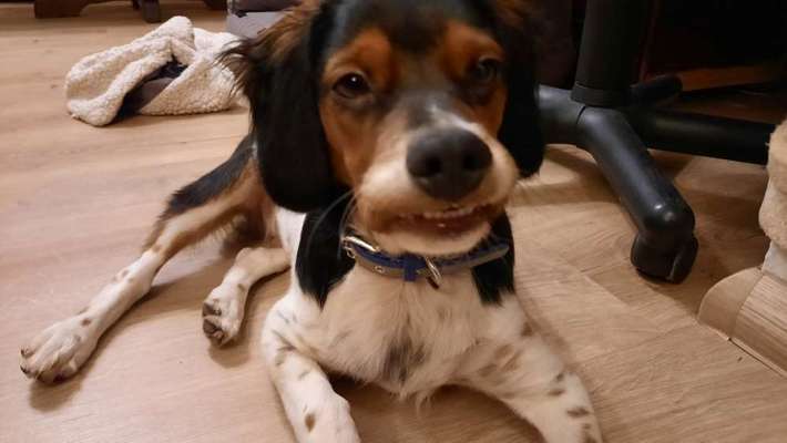 Lieblingsbild-Beitrag-Bild