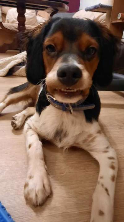 Lieblingsbild-Beitrag-Bild