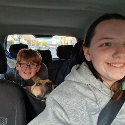 Hundetreffen-Sozialisierung mit meinem Scooby in Zülpich