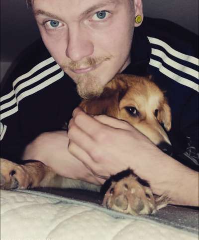 Welpen Bilder !-Beitrag-Bild