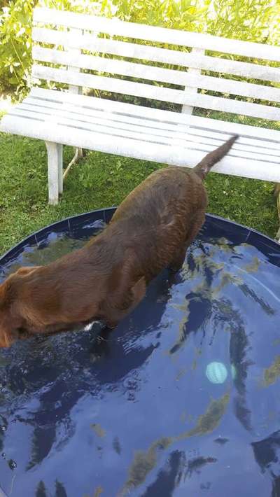 Foto Challenge - BEENDET - bitte aktuelle Challenge nutzen-Beitrag-Bild