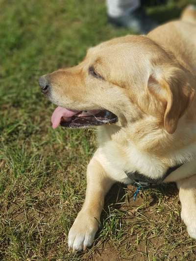 Fotochallenge No. 26                                     Wald und Wiese-Beitrag-Bild