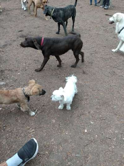 Handy-Foto-Challange Nr. 8-Beitrag-Bild