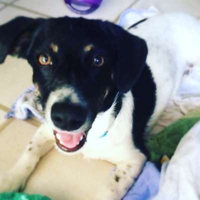 Immer lächeln !-Beitrag-Bild