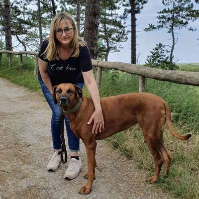 Hundetreffen-Mal gemeinsam in die Haard-Profilbild