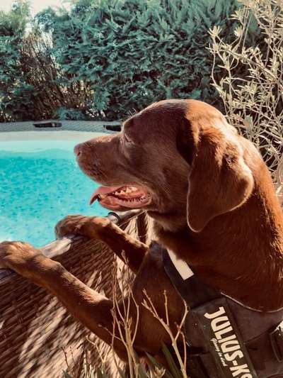 Theos Fotochallange Nummer 4-Beitrag-Bild