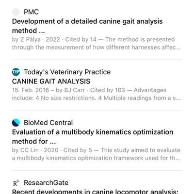 Gangbild/-analyse-Beitrag-Bild