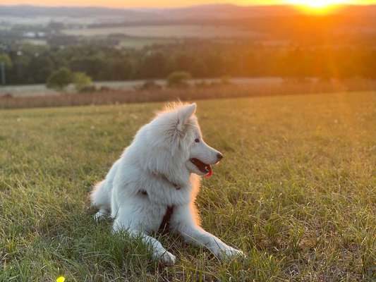 18. Farben Fotochallenge: Sonnenuntergang-Beitrag-Bild