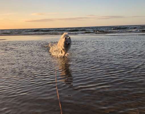 Foto Challenge Nr.133-Beitrag-Bild