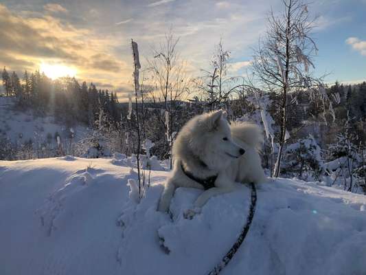 Farben Fotochallenge Sonnenlicht-Beitrag-Bild