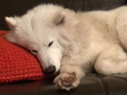 Foto Challenge Nr. 134-Beitrag-Bild