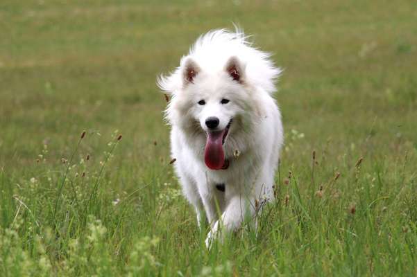 Farben Fotochallenge Thema ,,Grün"-Beitrag-Bild