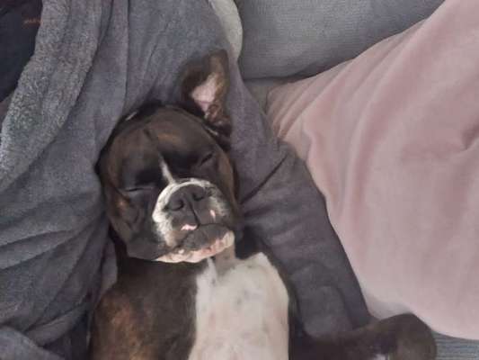 FOTO-Challenge  NR. 91: Die pure Entspannung-Beitrag-Bild