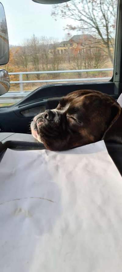 FOTO-Challenge  NR. 91: Die pure Entspannung-Beitrag-Bild