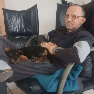 Hundetreffen-Suche Hundekumpels-Profilbild