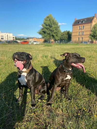 Immer lächeln !-Beitrag-Bild