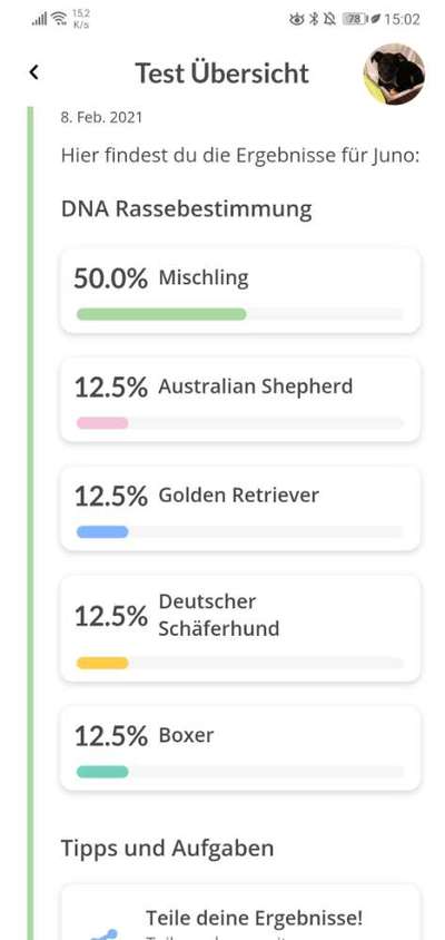 DNA-Tests-Beitrag-Bild